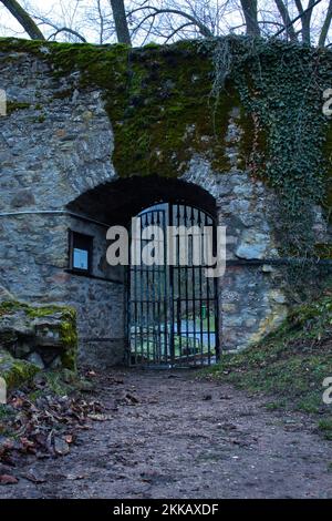 Wolfstein, Deutschland - 8. Januar 2021: Pflanzen wachsen an der Wand um das Tor bei den alten Wolfsteiner Burgruinen in Deutschland. Stockfoto