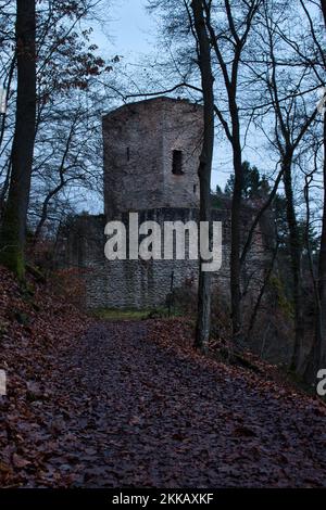 Wolfstein, Deutschland - 8. Januar 2021: Pfad zum Schloss Neu-Wolfstein an einem dunklen Winternachmittag in Deutschland. Stockfoto