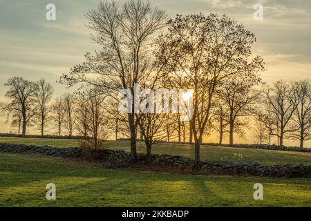 Sonnenuntergang über einer Weide in Hardwick, Massachusetts Stockfoto