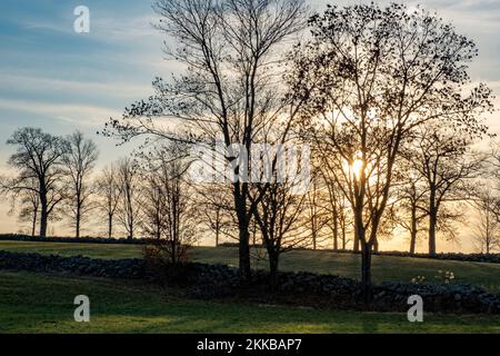 Sonnenuntergang über einer Weide in Hardwick, Massachusetts Stockfoto