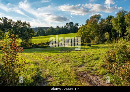 Weideland in der kleinen ländlichen Stadt Hardwick, Massachusetts Stockfoto