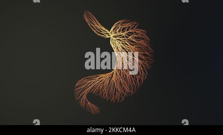 Menschlicher Magen aus Linien. Medizinisches Konzept. 3D-Rendering. Stockfoto