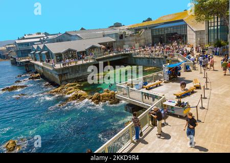 Monterey, USA - 26. Juli 2008: Die Menschen genießen den Blick auf das Aquarium von Monterrey und das Meer auf der Aussichtsplattform. Stockfoto