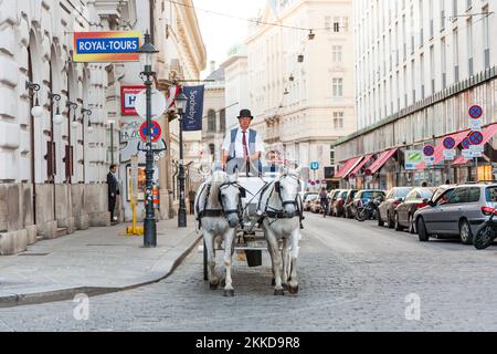 Wien, Österreich - 21. Juli 2009: Die Menschen reiten im Fiaker und passieren die Hofburg in Wien. Der Fiaker wurde zuerst im 18. Jahrhundert in der gebaut Stockfoto