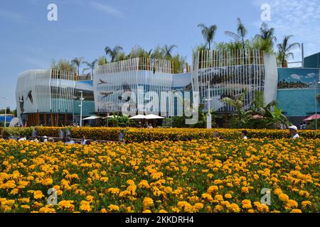 Panoramablick auf die Fassade des kolumbianischen Pavillons auf der Expo Milano 2015 von der großen französischen gelben Blütenwiese des Chinapavillons. Stockfoto