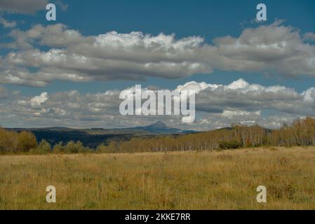 Anfang Herbst in den San Juan Mountains in Colorado: Blick über ein Feld auf Stoner Mesa in Richtung Nipple Mountain Stockfoto