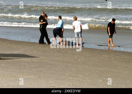 Florida, USA. 25.. November 2022. Melbourne Beach, Brevard County, Florida, USA. 25. November 2022. Einheiten von Brevard County Ocean Rescue, Brevard County Fire Rescue, Melbourne Beach Fire/Marine Rescue und Melbourne Beach Police Department unterstützten bei der Entfernung einer Person vom Strand nach einem beinahe-Ertrinkungsereignis, nachdem sie in eine Meeresströmung geraten war. Kredit: Julian Leek/Alamy Live News Kredit: Julian Leek/Alamy Live News Stockfoto