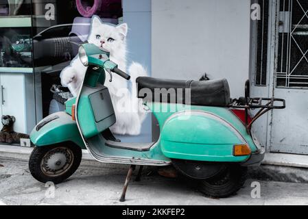 Grüner Oldtimer in einer Gasse. Stockfoto