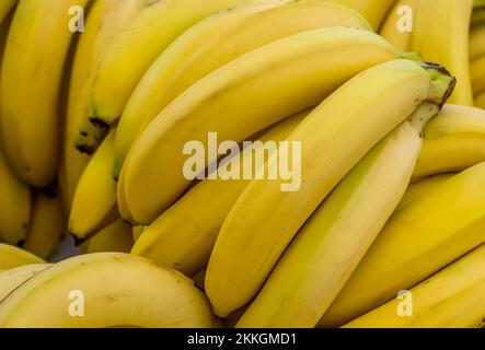 Ein Haufen gelber reifer Bananen, die den Rahmen füllen Stockfoto
