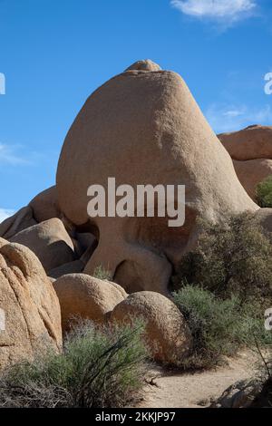 Skull Rock im Joshua Tree National Park in Kalifornien, USA Stockfoto