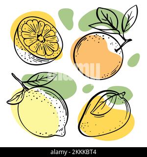KÖSTLICHE tropische Früchte MIT BLÄTTERN für die Gestaltung von Etiketten und Verpackungsaufklebern für Lebensmittelgeschäfte und Menü in Sketch Style Vector Illustrati Stock Vektor