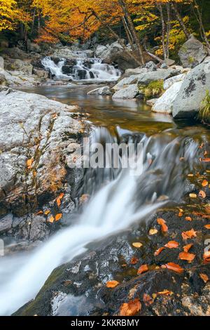 Kleine Wasserfälle direkt stromabwärts von Crystal Cascades auf dem Ellis River. Tuckerman Ravine Trail. Jackson. New Hampshire. USA Stockfoto