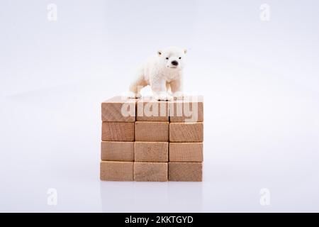 Der Eisbär ist auf den Bullding Blocks auf weißem Bakkfeld Stockfoto