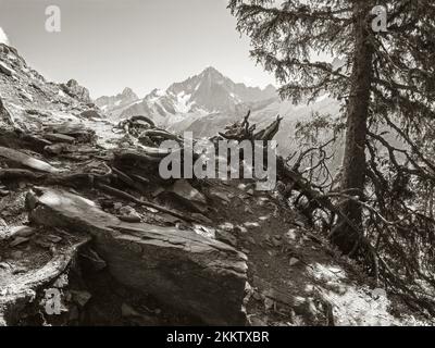 Die Gipfel von Aiguilles Verte und Petit Dru - Chamonix. Stockfoto