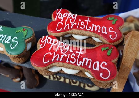 Besondere Weihnachtsgeschenke für Hunde auf einem Marktstand in Lee-on-Solent, Hampshire, Großbritannien. Stockfoto