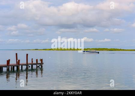 Lagune Bacalar, Quintana Roo, Mexiko Stockfoto