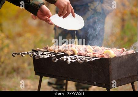 Die Halteplatte mit den Händen in der Tarnung bereitet Barbecue auf dem Grill zu, Picknick in der Natur. Stockfoto