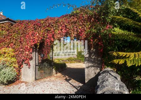 Der botanische Garten von Ardgillan Demesne an sonnigen Tagen im Herbst in Südirland Stockfoto