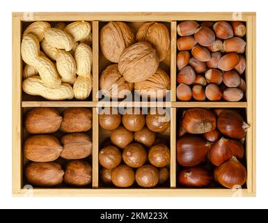 Mischung aus sechs verschiedenen Muttern in ihren Schalen, sortiert, in einer Holzbox. Erdnüsse, Walnüsse, Haselnüsse, Pekannüsse, Macadamianüsse und süße Kastanien. Stockfoto