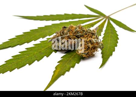 Cannabisblatt mit getrockneter Blüte Stockfoto
