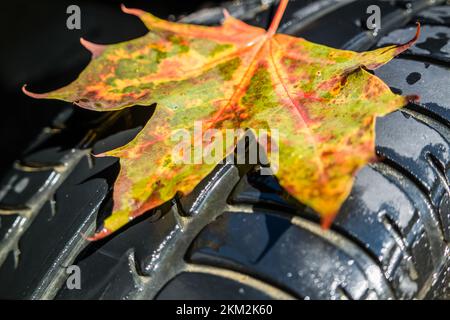 Gelbes Blatt auf einem Autoreifen symbolisch Stockfoto
