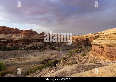 Water Canyon im Maze District des Canyonlands National Park in Utah, der an einem Frühlingstag bei Sonnenuntergang zu sehen ist. Ein paar Wanderer sind zu sehen. Stockfoto