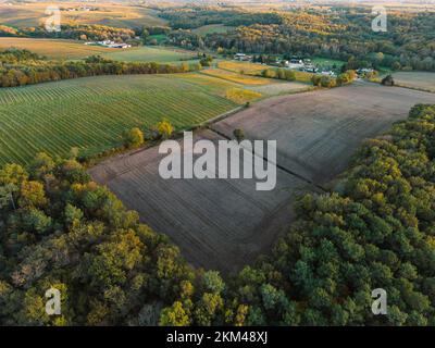 Luftaufnahme Bordeaux Weinberg und Wald bei Sonnenaufgang, Film per Drohne im Herbst, Entre deux mers Stockfoto