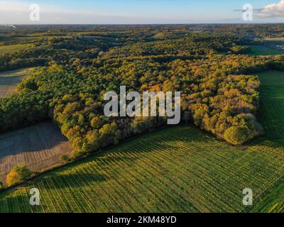 Luftaufnahme Bordeaux Weinberg und Wald bei Sonnenaufgang, Film per Drohne im Herbst, Entre deux mers Stockfoto