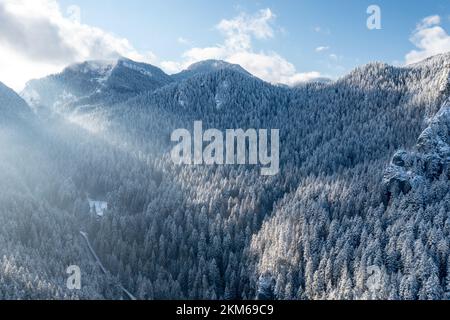Karpaten, Rumänien, 2021-12-28. Rumänischer Berg, erleuchtet von der Sonne mit Nadelbäumen unter dem Schnee. Stockfoto
