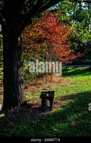 Bank an einem abgeschiedenen Ort, in der Herbstsonne in der RHS Hyde Hall Stockfoto