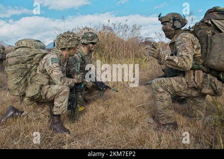 Shinto, Japan. 26.. November 2022. Soldaten des 1.. Royal Horse Artillery Regiment der britischen Armee nehmen am Samstag, den 26. November 2022, im Manöverbereich Somagahara in der Präfektur Gunma, Japan, an der gemeinsamen Militärübung „Vigilant Isles“ Teil. Foto: Keizo Mori/UPI Credit: UPI/Alamy Live News Stockfoto