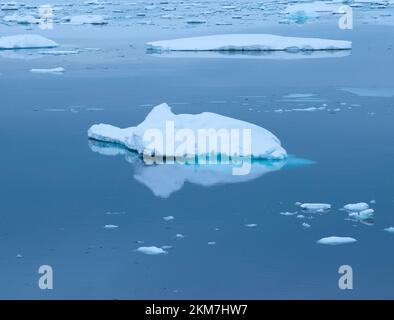 Die Eisfeild und Eisberge, die im Antarktischen Ozean fließen. Mit Schichten aus Eis und Schnee, die die Eisberge bilden. Stockfoto