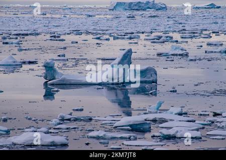 Die Eisfeild und Eisberge, die im Antarktischen Ozean fließen. Mit Schichten aus Eis und Schnee, die die Eisberge bilden. Stockfoto