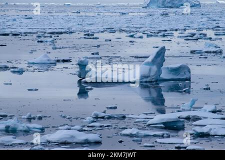 Die Eisfeild und Eisberge, die im Antarktischen Ozean fließen. Mit Schichten aus Eis und Schnee, die die Eisberge bilden. Stockfoto