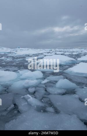 Die Eisfeild und Eisberge, die im Antarktischen Ozean fließen. Mit Schichten aus Eis und Schnee, die die Eisberge bilden. Stockfoto