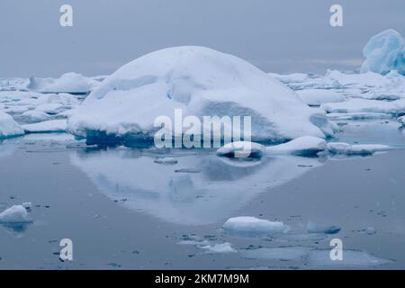 Die Eisfeild und Eisberge, die im Antarktischen Ozean fließen. Mit Schichten aus Eis und Schnee, die die Eisberge bilden. Stockfoto