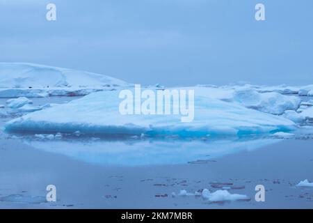 Die Eisfeild und Eisberge, die im Antarktischen Ozean fließen. Mit Schichten aus Eis und Schnee, die die Eisberge bilden. Stockfoto