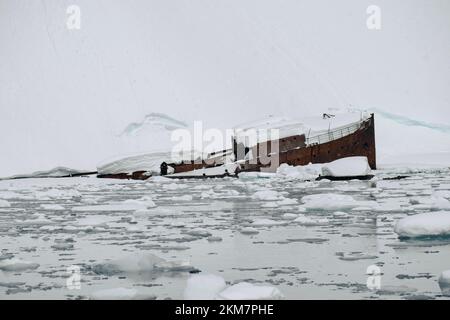 Ein versenktes Walfangboot aus Metall, Gouvernoren, ist im Eis der Antarktis Enterprise Island gefangen. Stockfoto