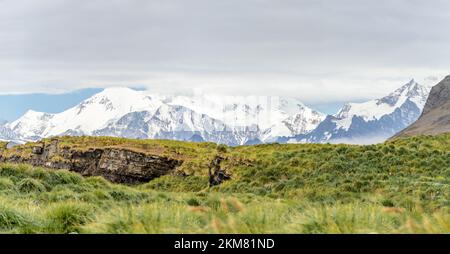 South Georgia Landscape Idyll im Hafen von Jason   Lagoon Point Stockfoto