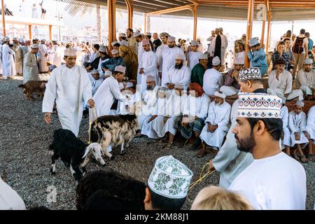 NIZWA, OMAN - 18. NOVEMBER 2022: Nizwa-Ziegenmarkt. Traditioneller Tierbasar in Nizwa, Oman. Stockfoto