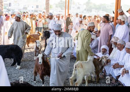 NIZWA, OMAN - 18. NOVEMBER 2022: Nizwa-Ziegenmarkt. Traditioneller Tierbasar in Nizwa, Oman. Stockfoto