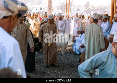 NIZWA, OMAN - 18. NOVEMBER 2022: Nizwa-Ziegenmarkt. Traditioneller Tierbasar in Nizwa, Oman. Stockfoto