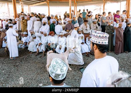 NIZWA, OMAN - 18. NOVEMBER 2022: Nizwa-Ziegenmarkt. Traditioneller Tierbasar in Nizwa, Oman. Stockfoto