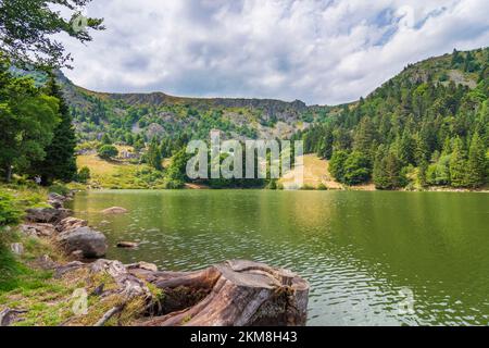 Vogesengebirge: lac des Truites (Lac du Forlet Forlenweier, Forellensee) im Elsass, Haut-Rhin (Oberelsass), Frankreich Stockfoto