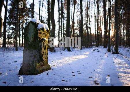 Antiker Grenzstein in Deutschland (Fraischgrenze, Fraischgrenzstein), der die alte Grenze zwischen ehemaligen Fürstentümern (Bayreuth und Forchheim) markiert Stockfoto