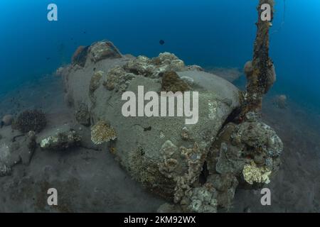 Flugzeugwrack aus dem 2. Weltkrieg im Korallendreieck Stockfoto