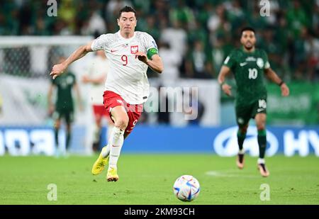 Al-Rayyan, Katar. 26.. November 2022. Robert Lewandowski (Polen)Al Rayyan, 26.11.2022, FIFA Fussball WM 2022 in Katar, Gruppenphase, Polen - Saudi-Arabien/ PRESSINPHOTO/Sipa USA Kredit: SIPA USA/Alamy Live News Stockfoto