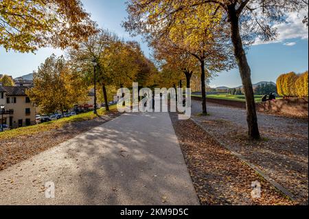 People walk on the ancient perimeter walls of Lucca, Italy, under trees with colorful autumn hues Stockfoto
