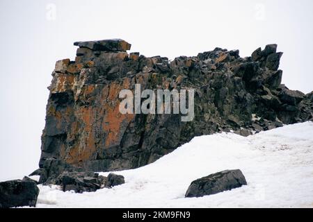 Orangefarbene Felsformationen auf Half Moon Island in der Antarktis. Stockfoto