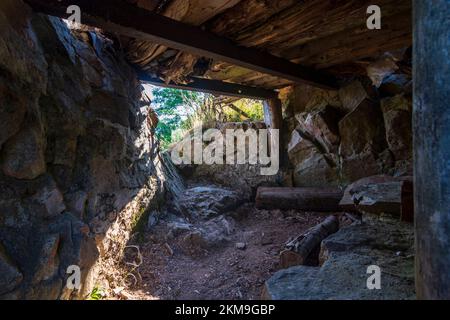 Vogesengebirge: Bunker bei Hartmannswillerkopf (Vieil Armand, Hartmannsweiler Kopf), Nationaldenkmal des Ersten Weltkriegs für den Kampfwal Stockfoto